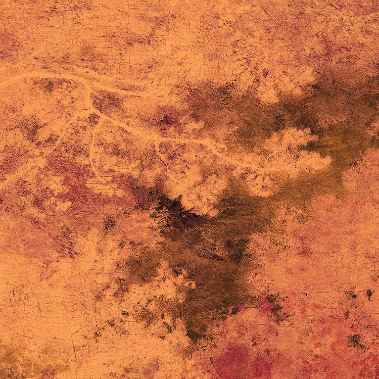 Autumna Mural Wallpaper - Image 3