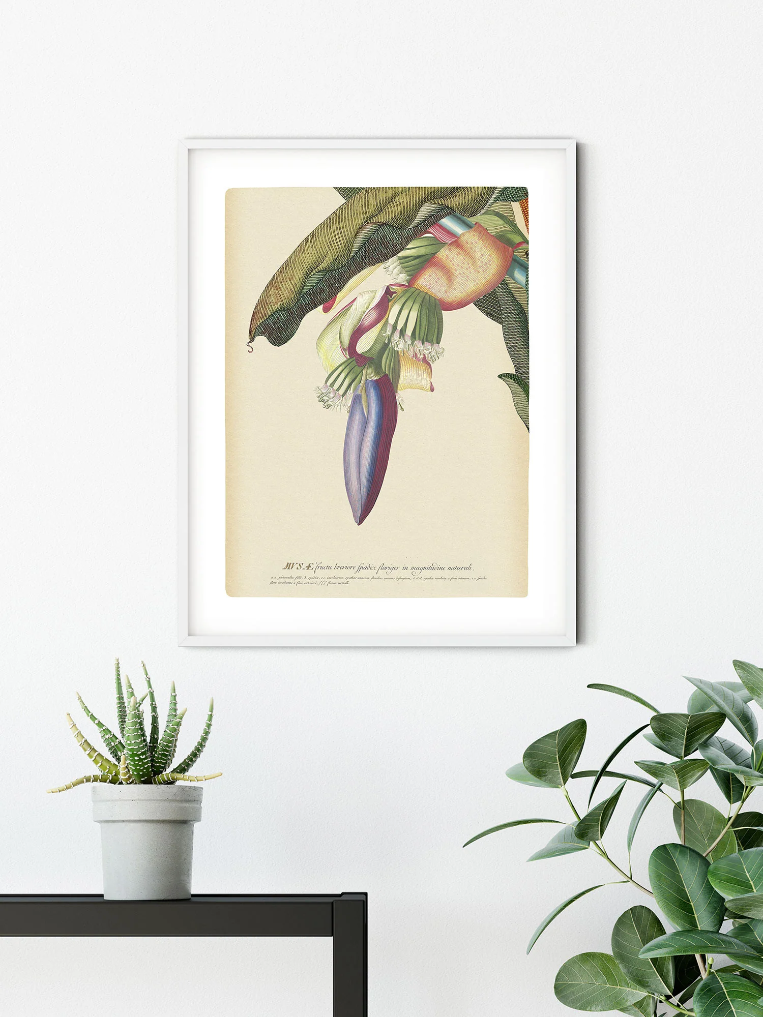 Banana Heart Art Poster - Image 4