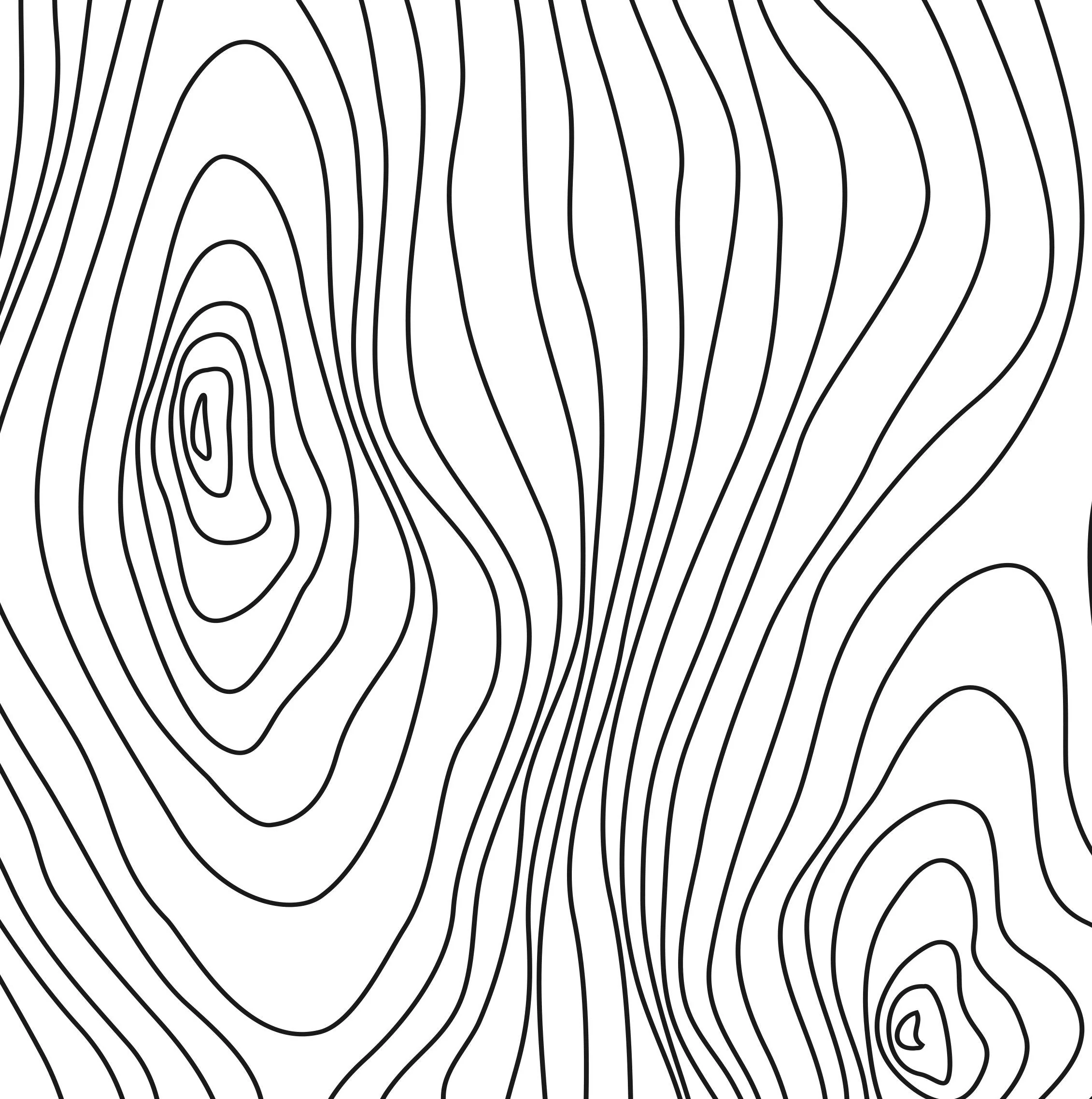 Wood Lines Mural Wallpaper - Image 2