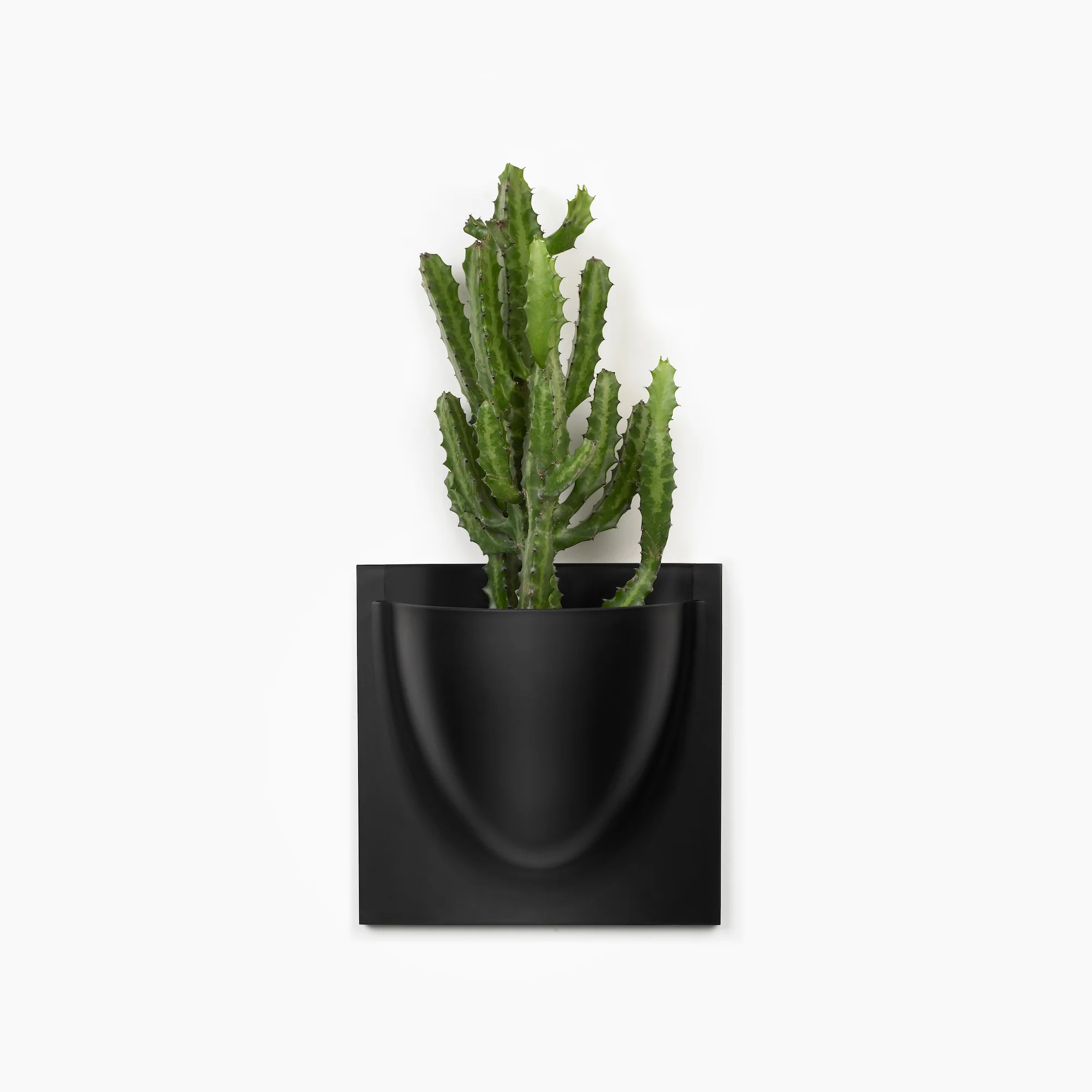 Black VertiPlant Bio Wall Container - Image 6