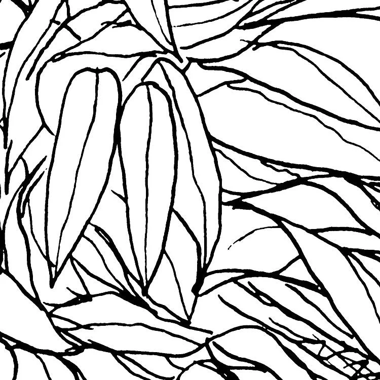Blanca Mural Wallpaper - Image 6