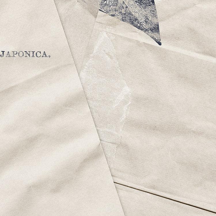 Botanical Papers Mural Wallpaper - Image 8