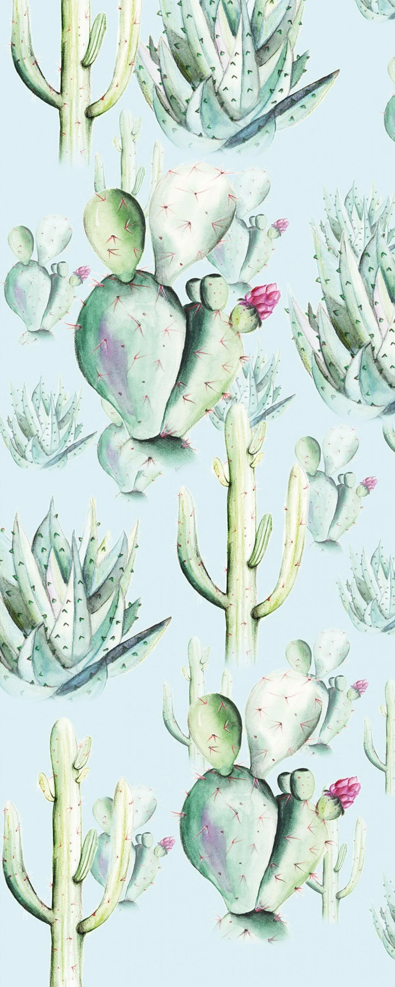 Cactus Blue Mural Wallpaper - Image 6