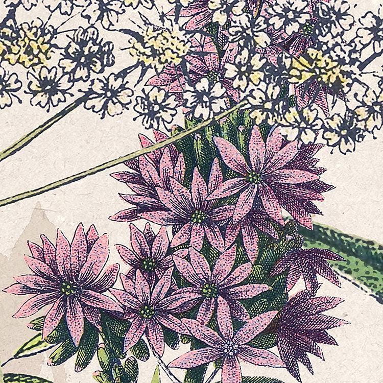 Flowering Herbs Mural Wallpaper - Image 4