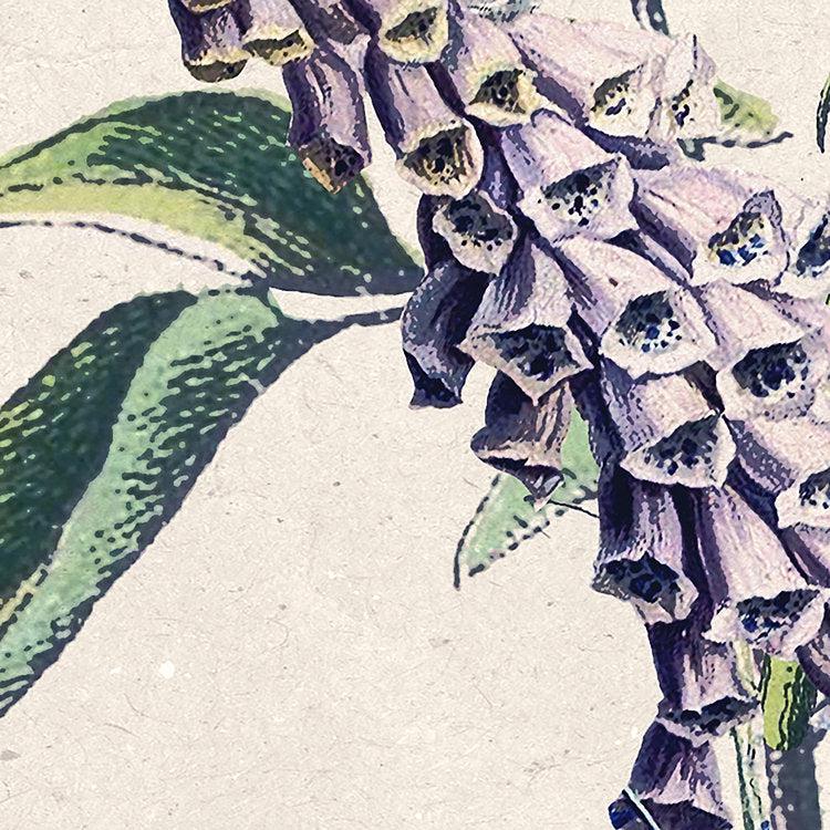 Flowering Herbs Mural Wallpaper - Image 6