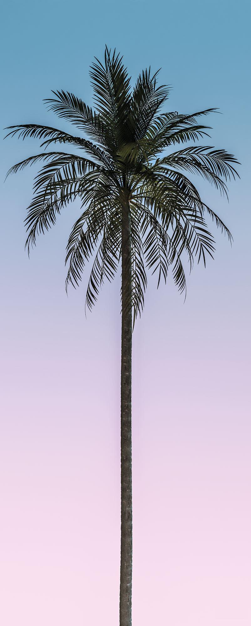 Skyhigh Mural Wallpaper - Image 5