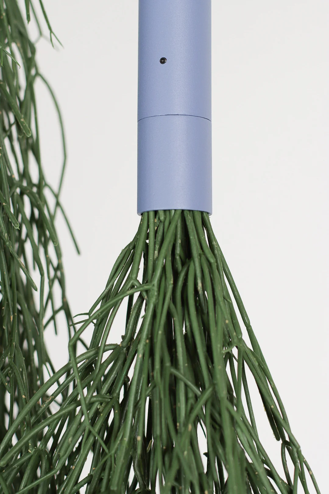 Cascade Suspended Planter with Preserved Plants - Image 14