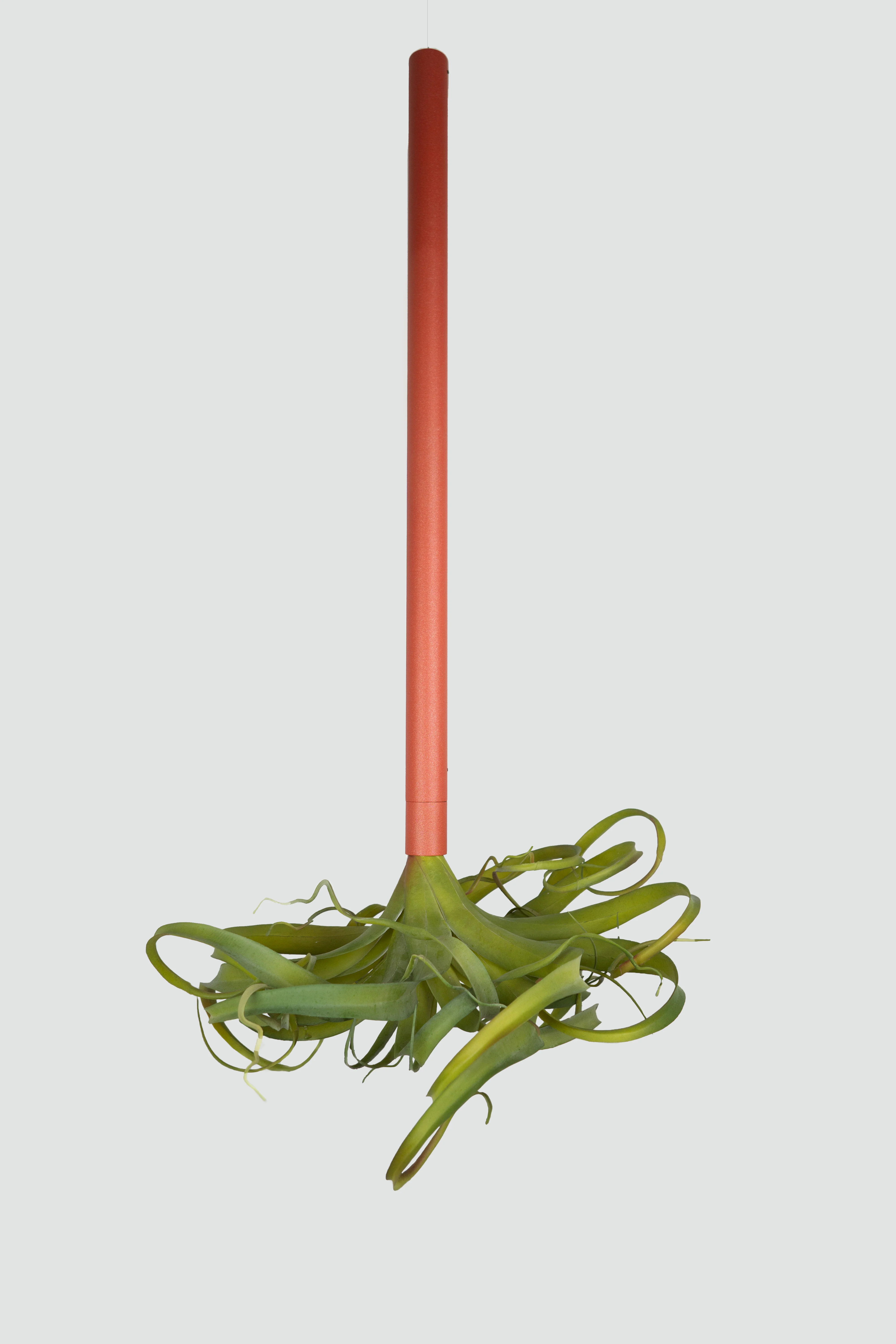 Cascade Suspended Planter with Preserved Plants - Image 16