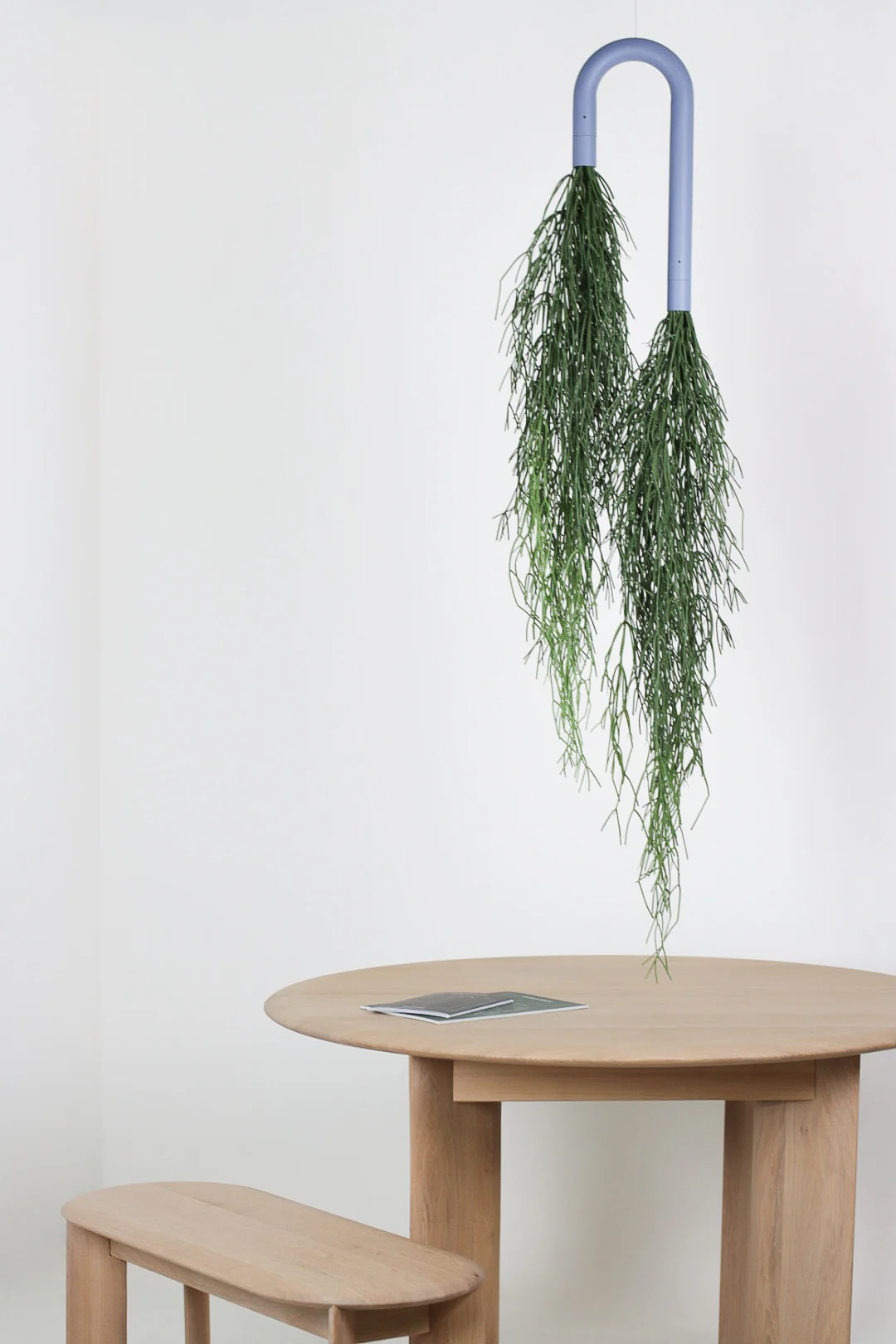Cascade Suspended Planter with Preserved Plants - Image 26
