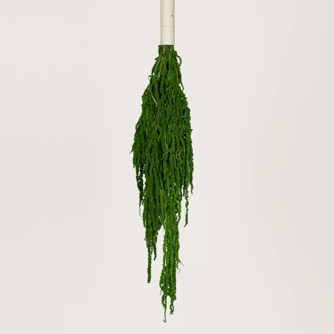 Cascade Suspended Planter with Preserved Plants - Image 33