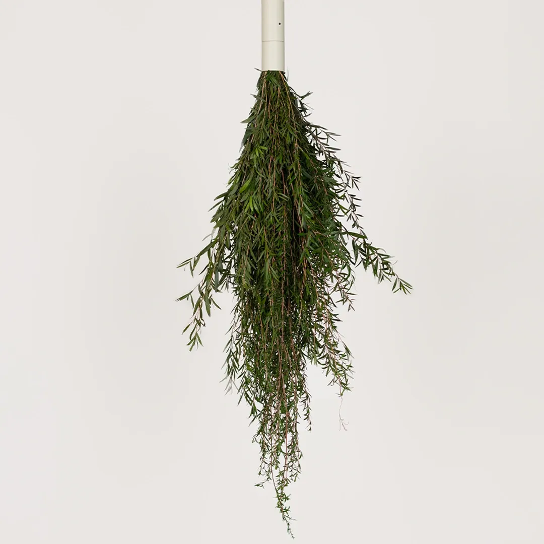 Cascade Suspended Planter with Preserved Plants - Image 37