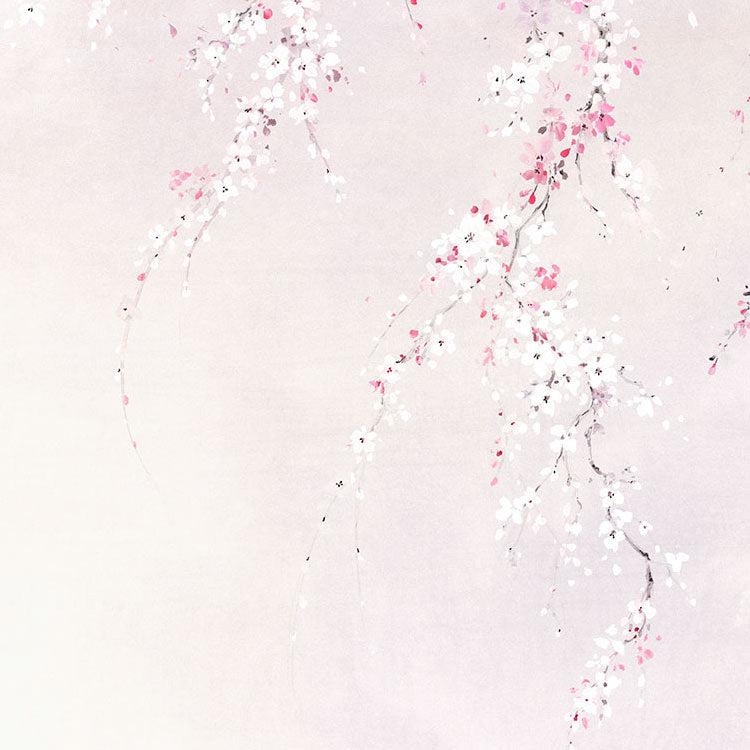 Kirschblüten Mural Wallpaper - Image 6