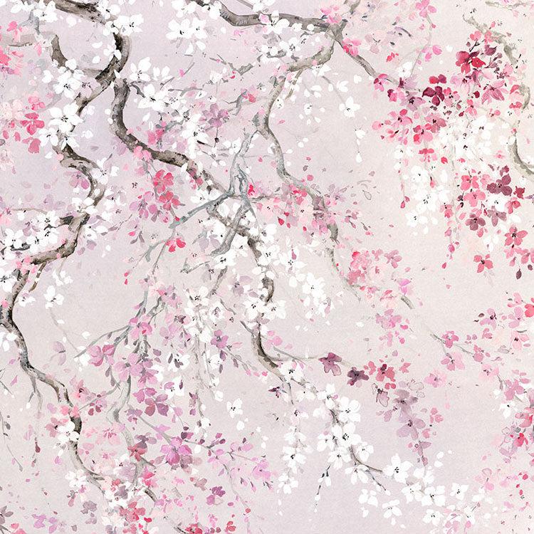 Kirschblüten Mural Wallpaper - Image 7