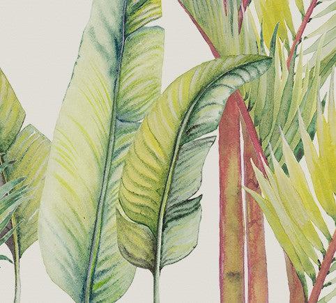 Madagascar Exploration Mural Wallpaper - Image 5