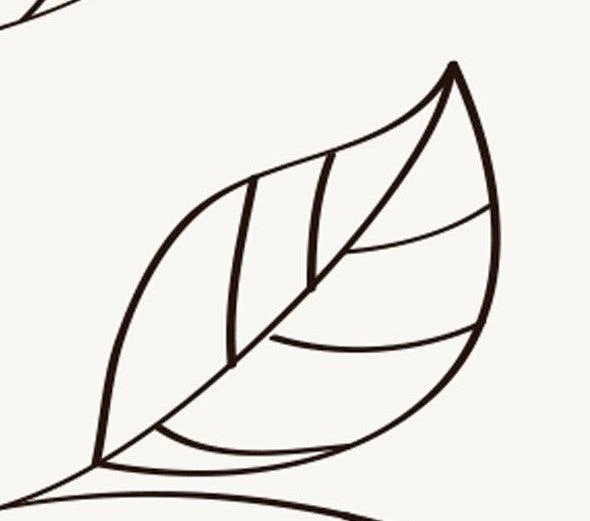 Dainty Leaves Mural Wallpaper - Image 5