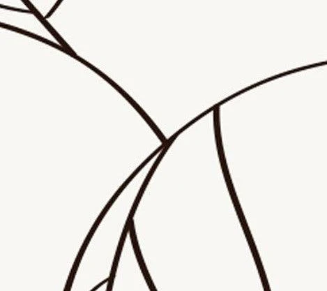 Dainty Leaves Mural Wallpaper - Image 6