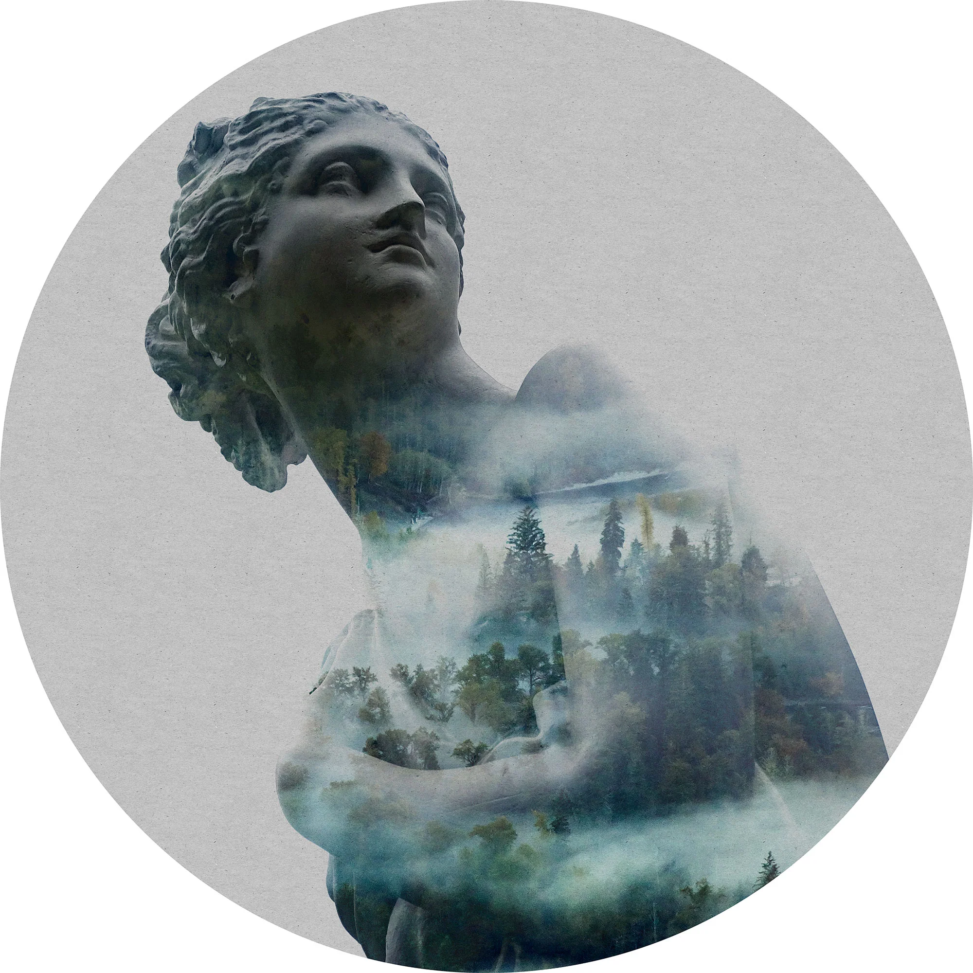 Dear Gaia Circle Wallpaper (Self-Adhesive) - Image 3