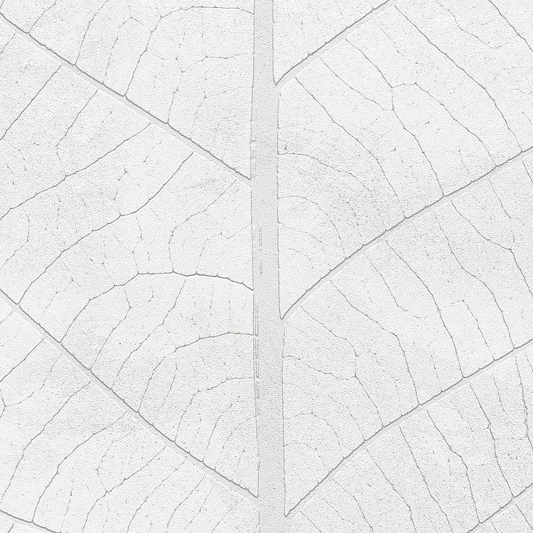 Decent Leaf Mural Wallpaper - Image 4