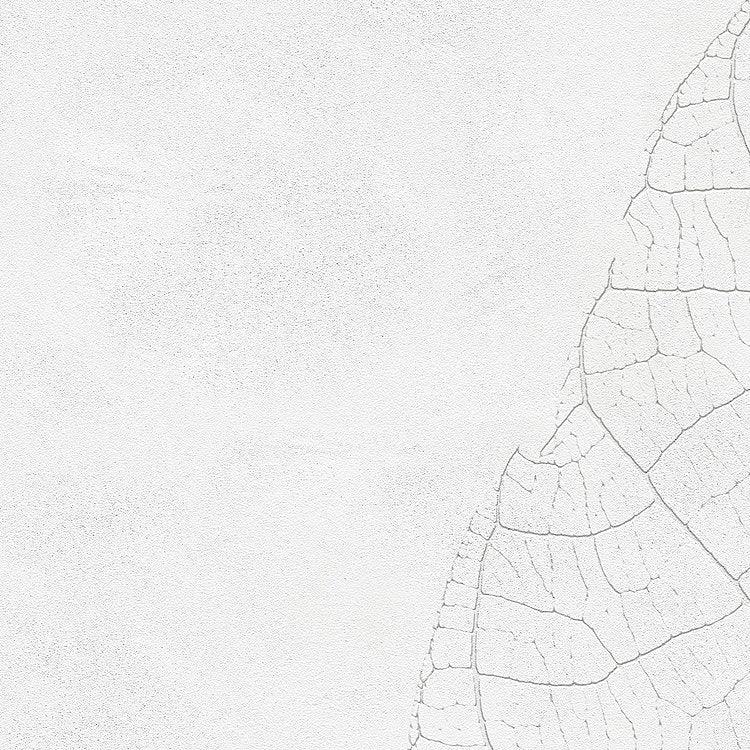 Decent Leaf Mural Wallpaper - Image 5