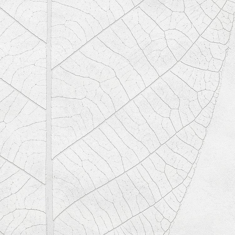 Decent Leaf Mural Wallpaper - Image 6