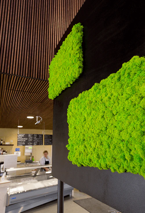 DIY Moss Wall Art - Image 3