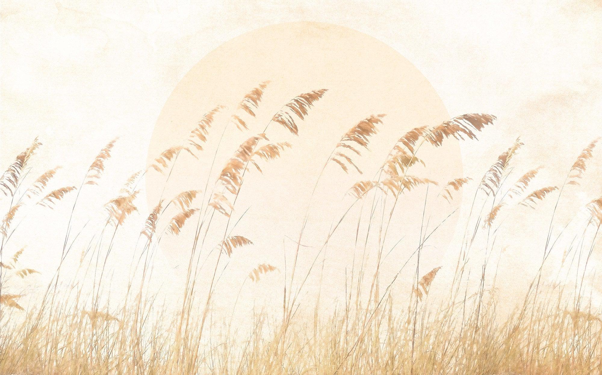 Dune Grass Mural Wallpaper - Image 2