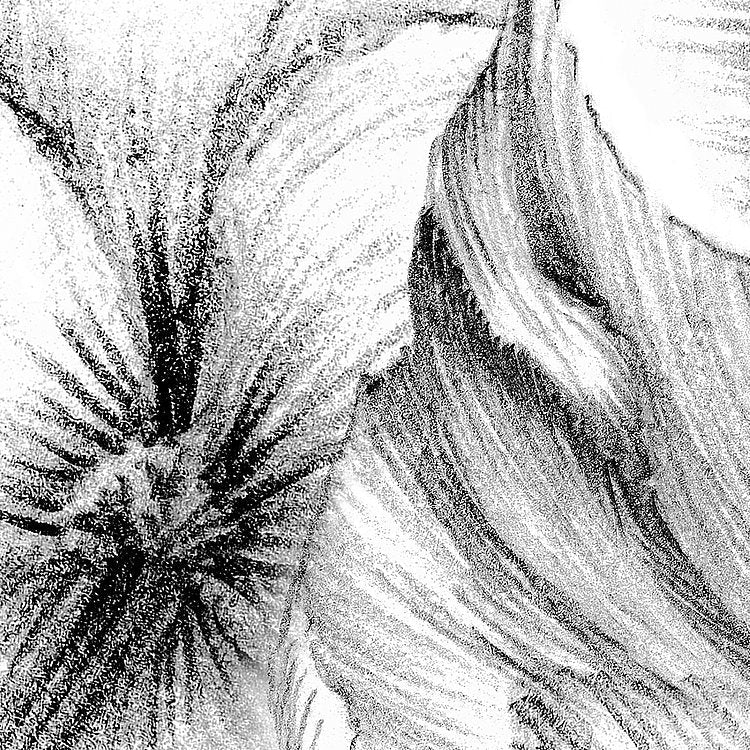 Embroidery Mural Wallpaper - Image 6