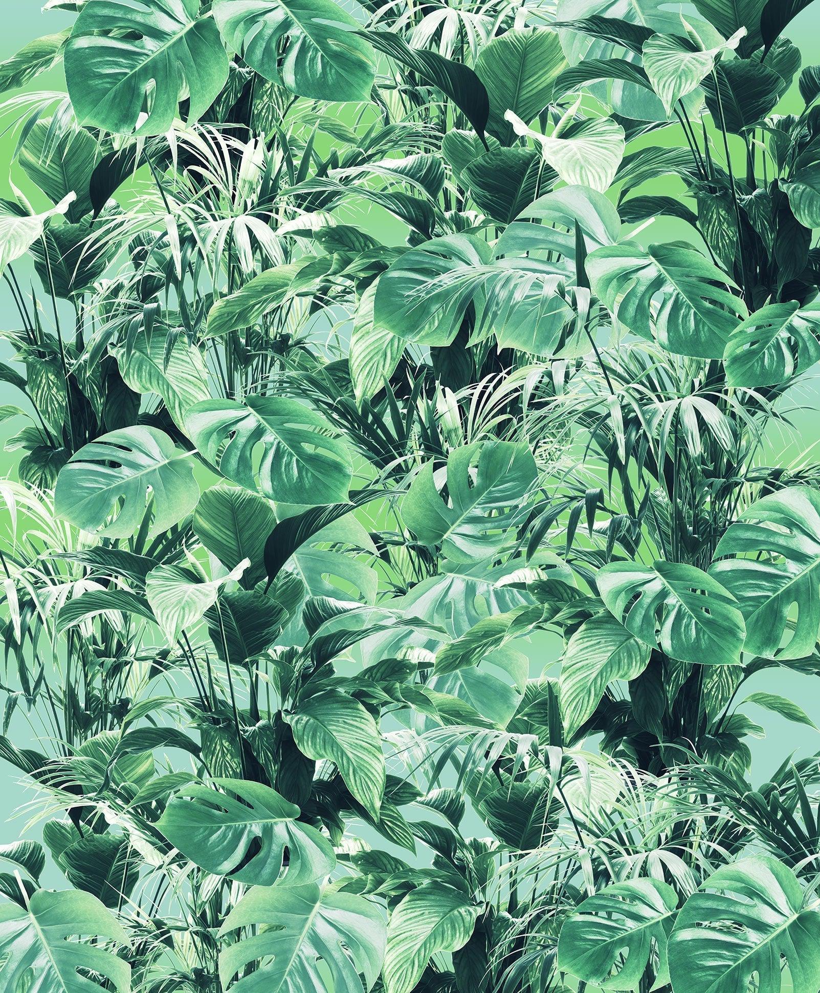 Evergreen Mural Wallpaper - Image 2