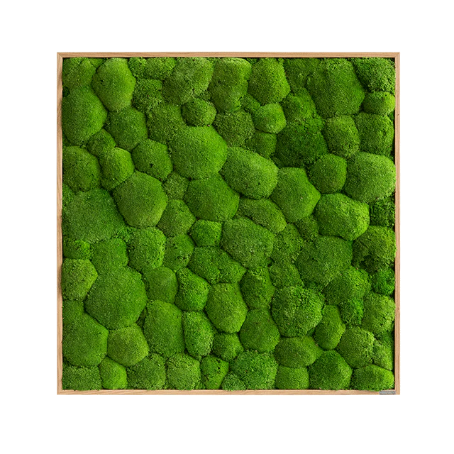 Green Square Moss Art (80cm) - Image 11