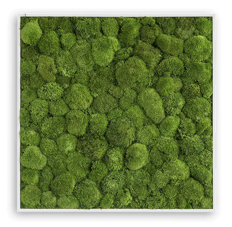 Green Square Moss Art (80cm) - Image 3