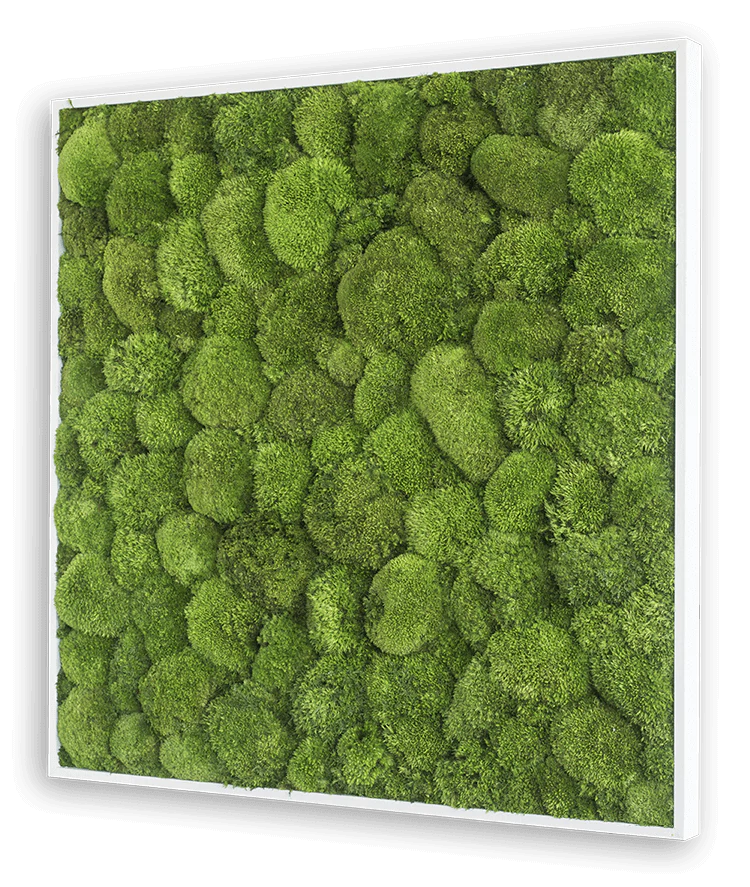 Green Square Moss Art (80cm) - Image 4