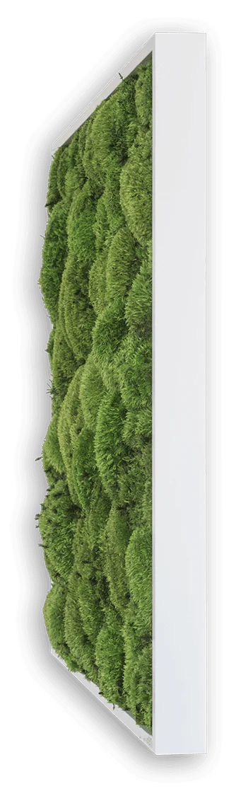 Green Square Moss Art (80cm) - Image 5