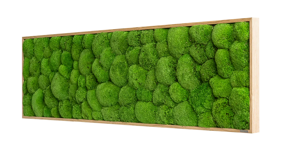 Wide Green Moss Wall Art (140x40cm) - Image 11