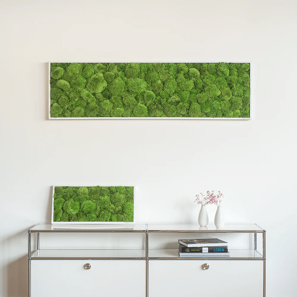 Wide Green Moss Wall Art (140x40cm) - Image 5