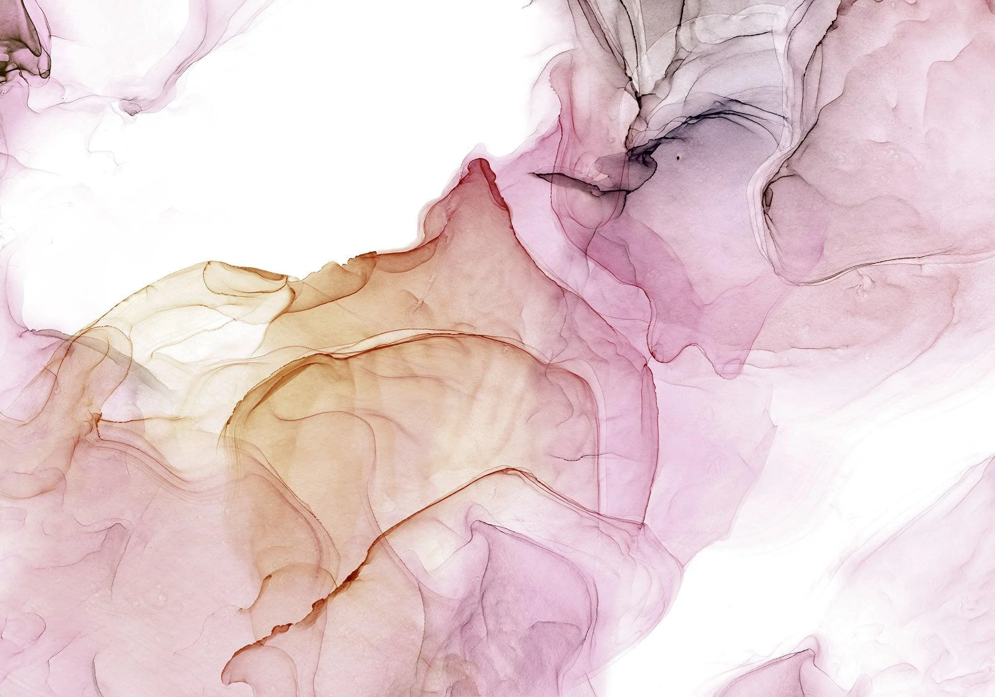 Flow in Rose Mural Wallpaper - Image 2