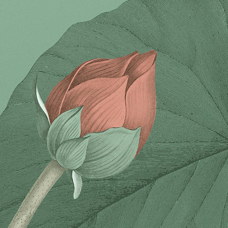 Blissful Mural Wallpaper - Image 5