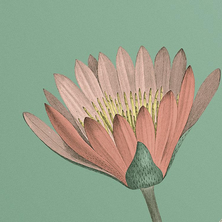 Blissful Mural Wallpaper - Image 7