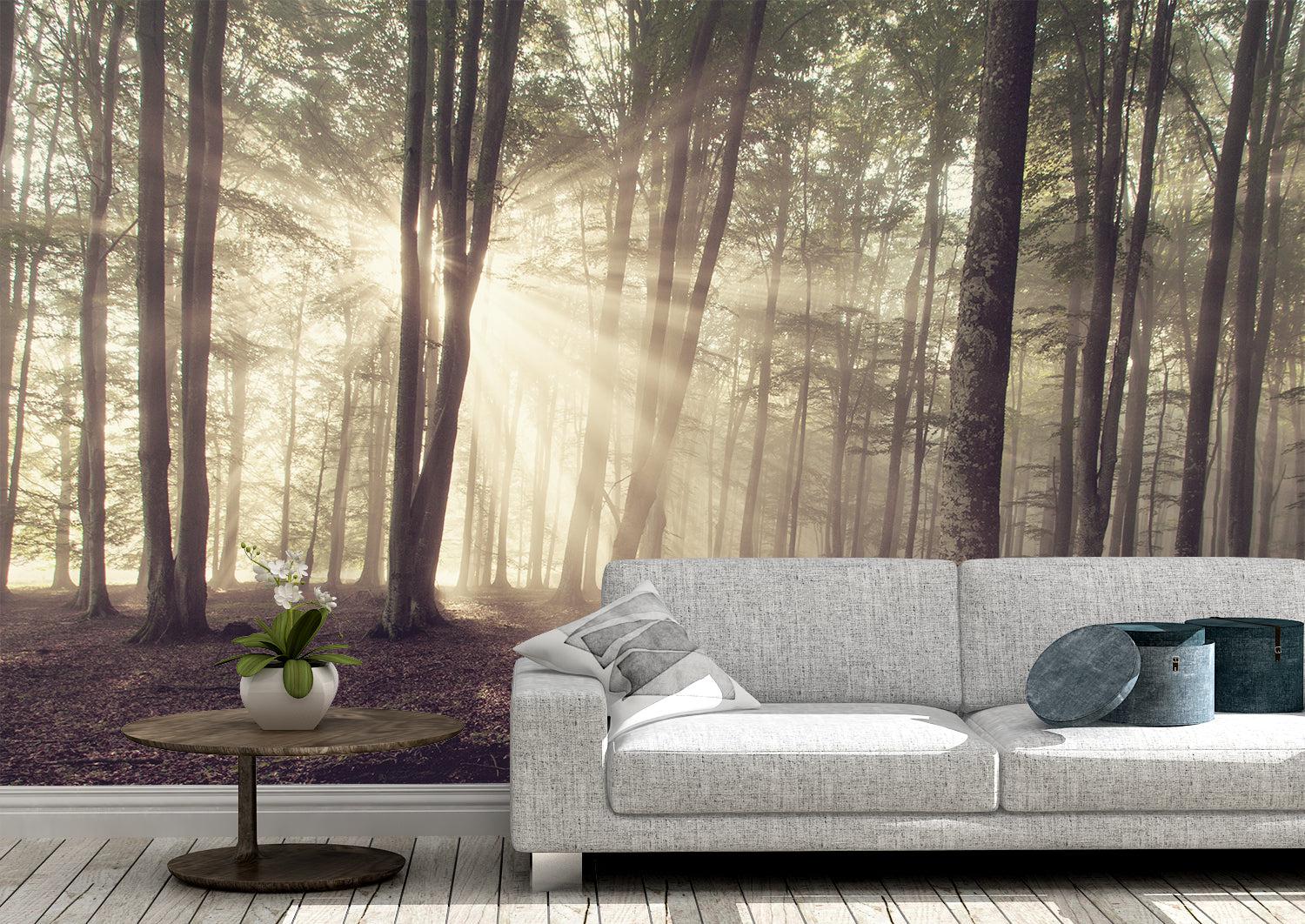 Forest Oho Mural Wallpaper - Image 4