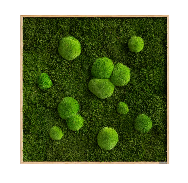 Forest Square Moss Wall Art (80cm) - Image 10