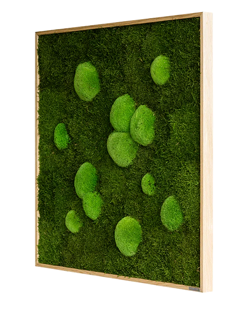 Forest Square Moss Wall Art (80cm) - Image 11