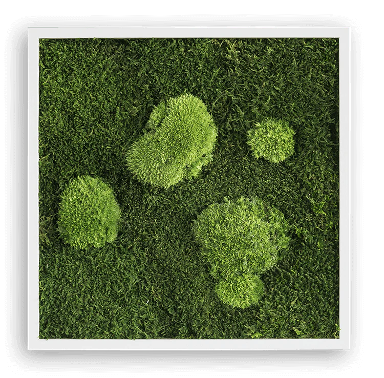 Forest Square Moss Wall Art (35cm) - Image 3
