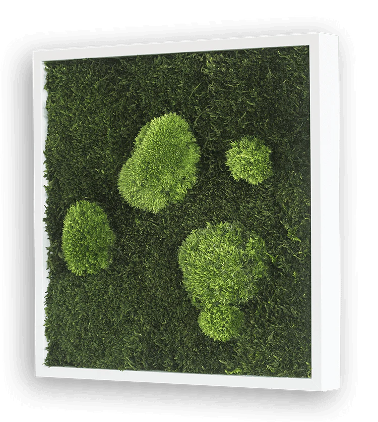 Forest Square Moss Wall Art (35cm) - Image 4