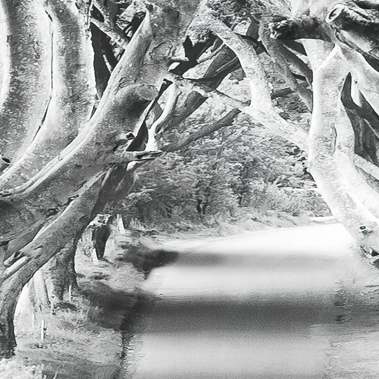 Forevenue Mural Wallpaper - Image 4