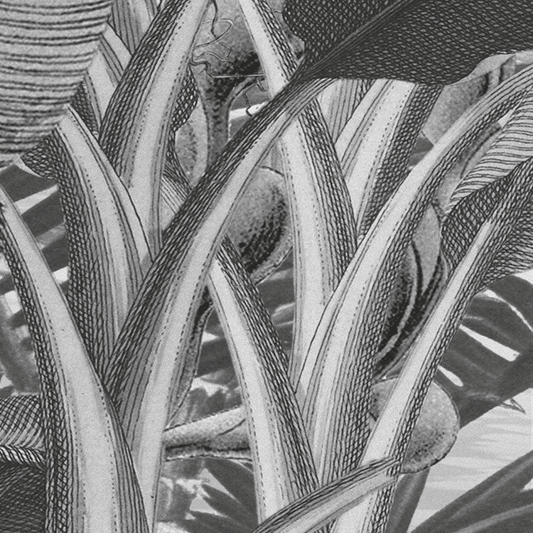 Frais Black and White Jungle Mural - Image 10