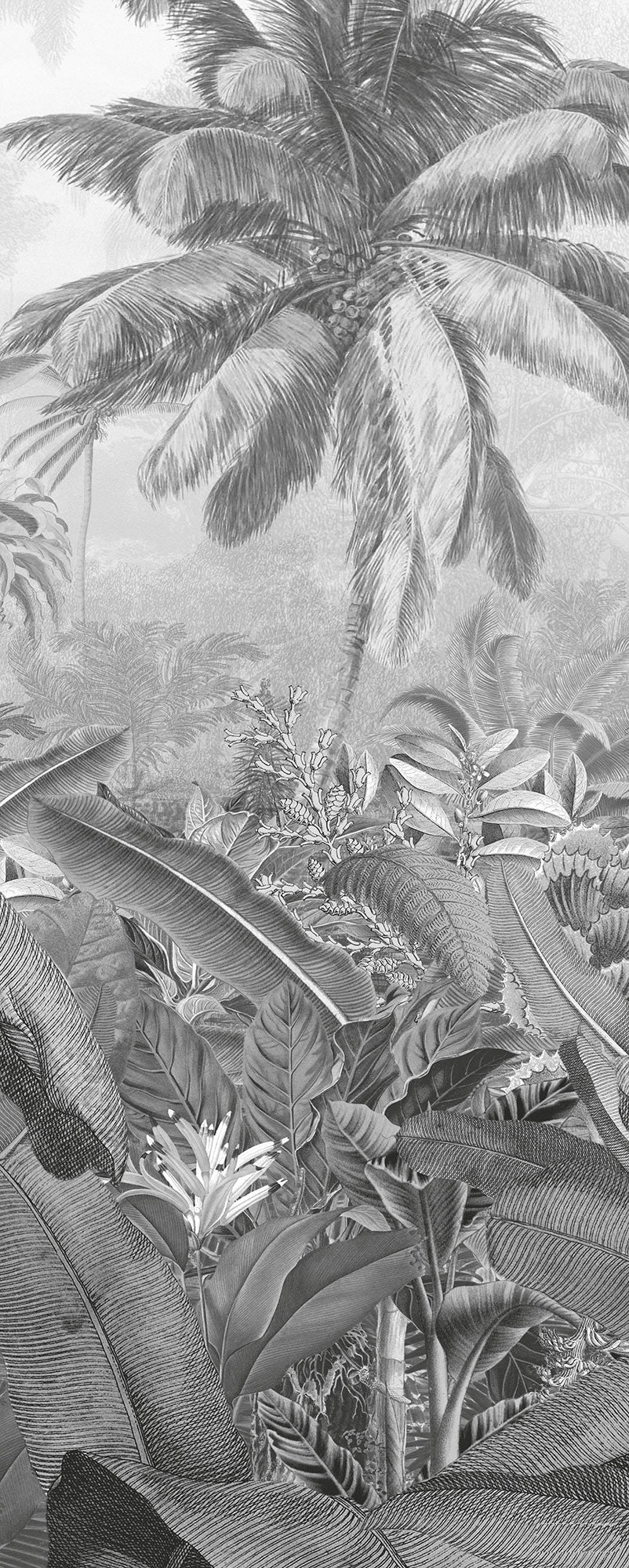 Frais Black and White Jungle Mural - Image 5
