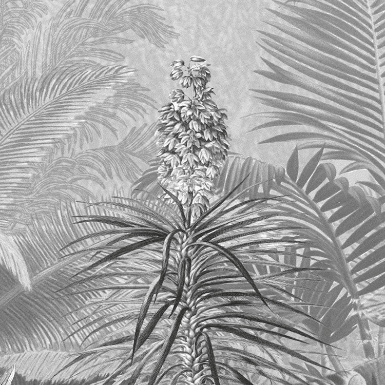 Frais Black and White Jungle Mural - Image 8