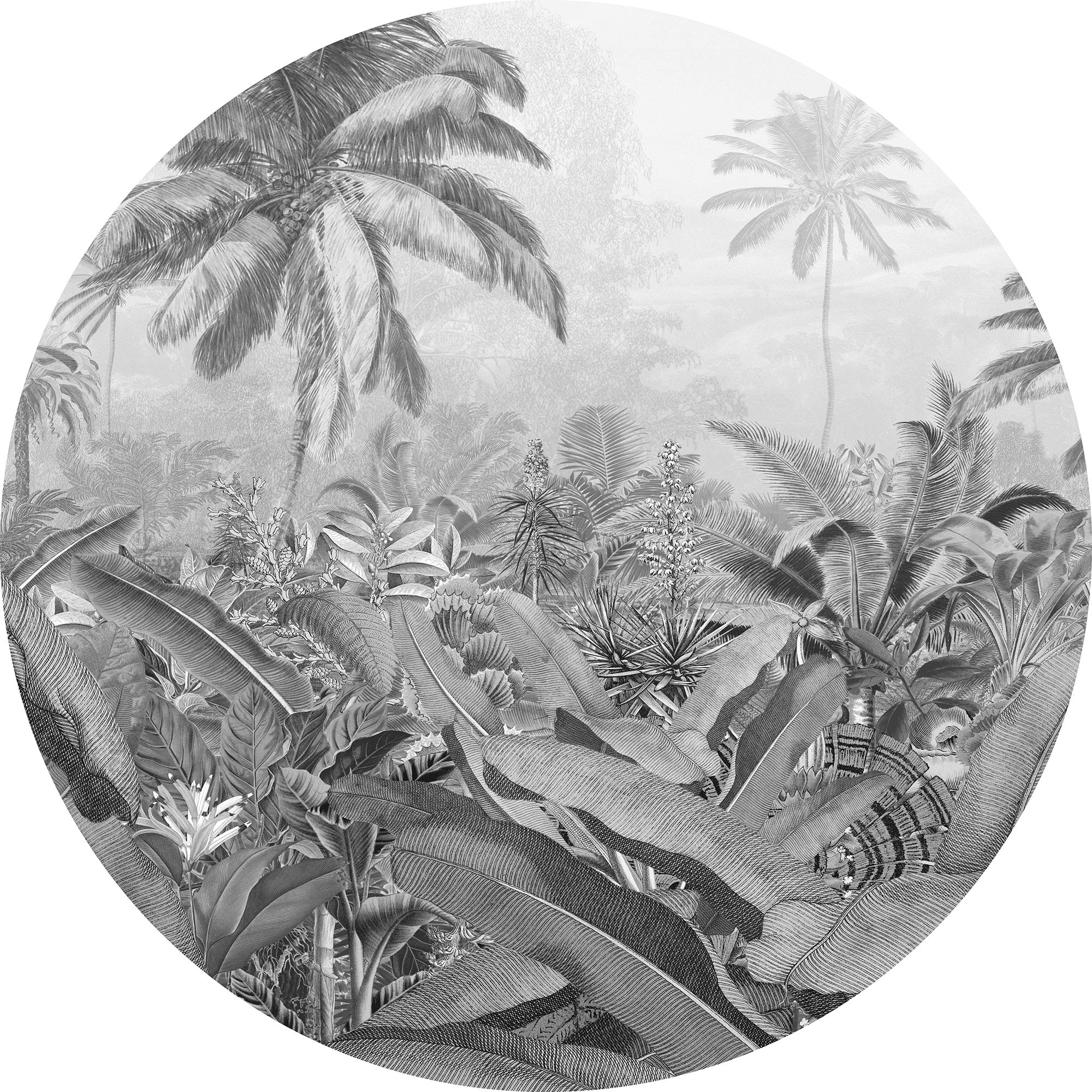 Frais Caribbean Black & White Circle Wallpaper (Self-Adhesive) - Image 3