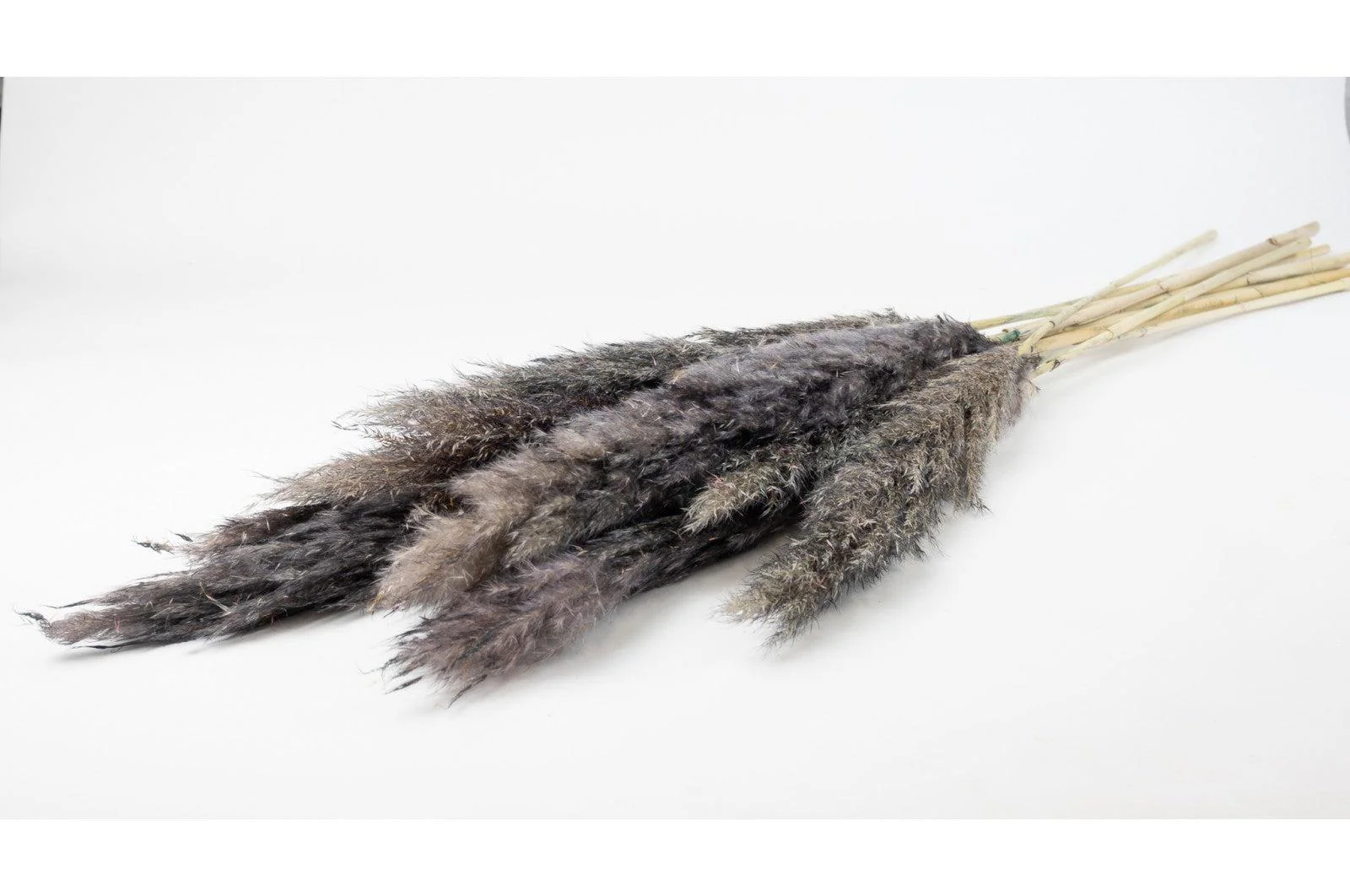 French Grey Pampas Bouquet - Image 2