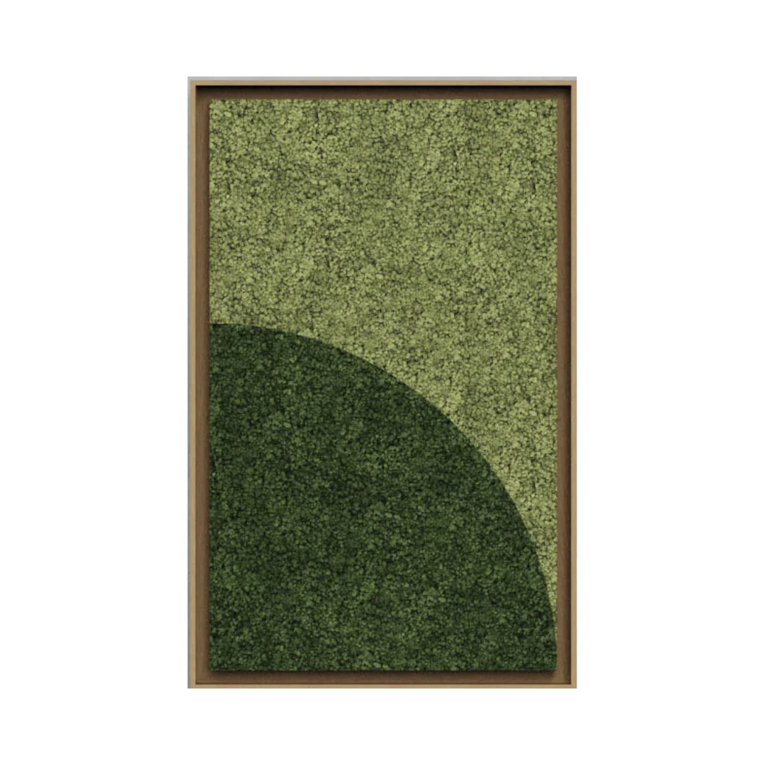 Geometric Framed Moss Wall Art (Series B) - Image 4