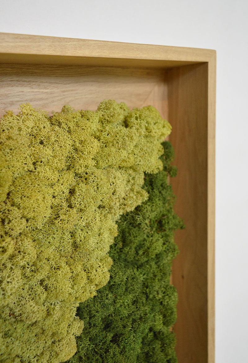 Geometric Framed Moss Wall Art (Series C) - Image 11